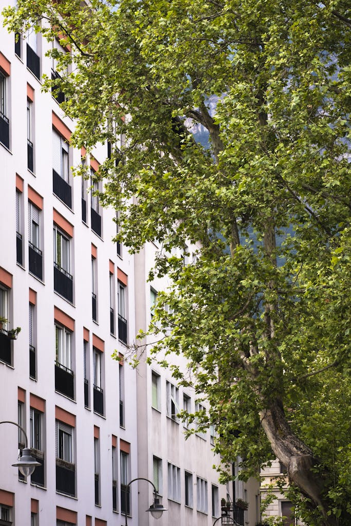 Beautiful Italian city scene featuring modern architecture with lush green trees, capturing urban tranquility.